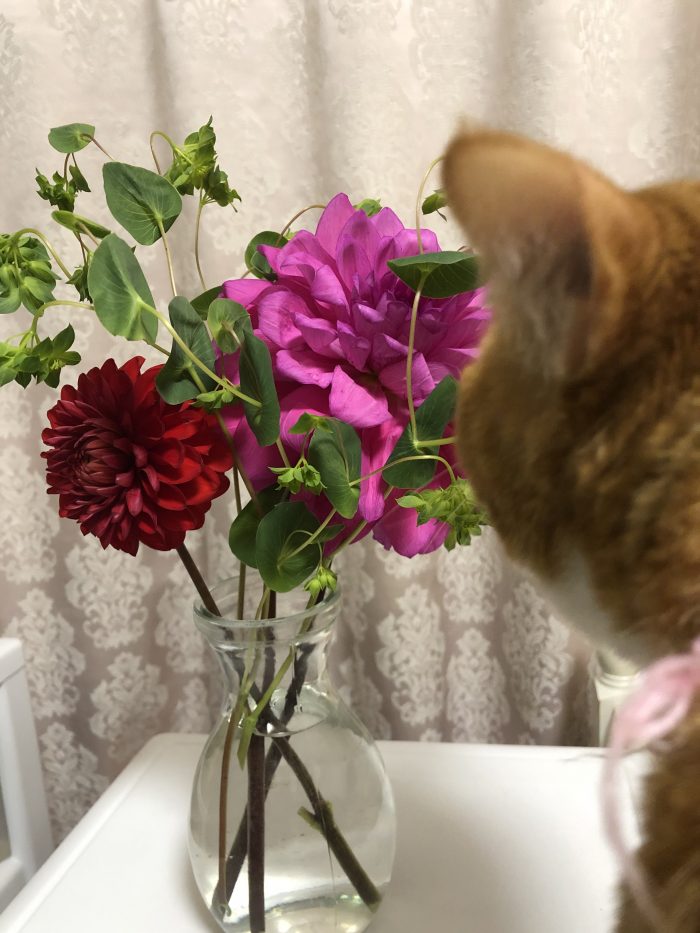 IMG_6557.jpeg