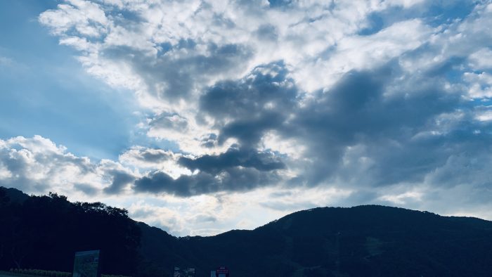 IMG_7682.jpeg