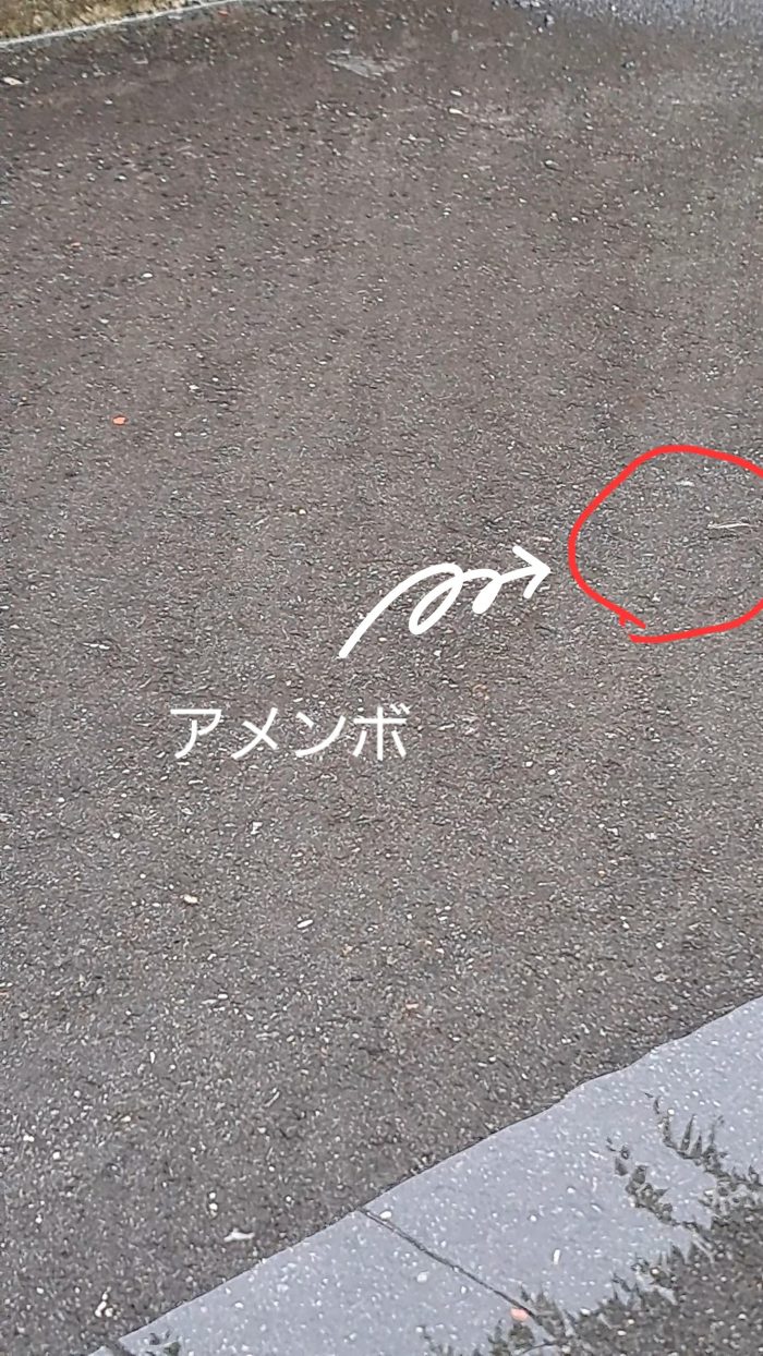 1000011922.jpg