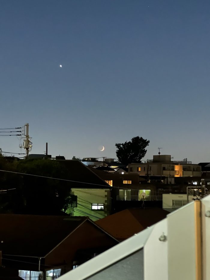 1_IMG_9126.jpeg