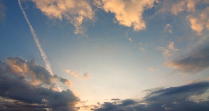 65507DE1-1B86-4E27-BC72-3D292F14CE16.jpeg