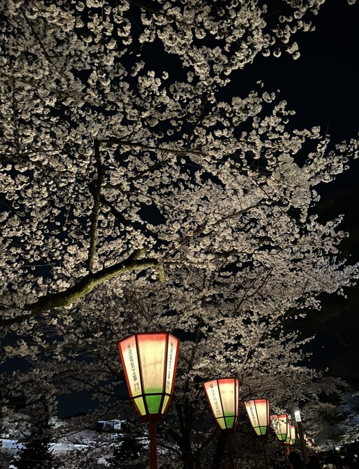 8B80C851-30D1-4980-923D-6C949212A7D0.jpeg