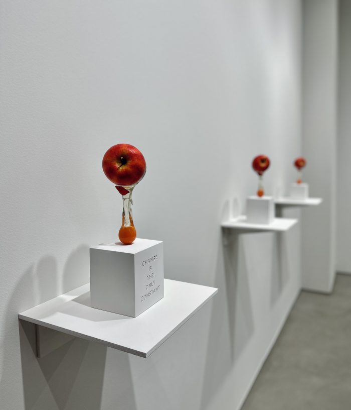 AB0220E4-F1AC-4F25-A6FD-B47FA001AE73.jpeg