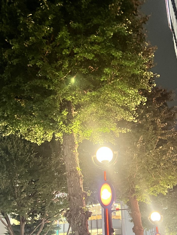 IMG_0673.jpeg
