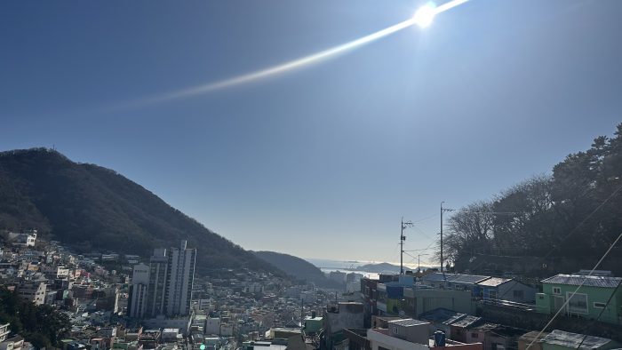 IMG_5221.jpeg