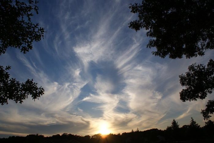 IMG_5271.JPG
