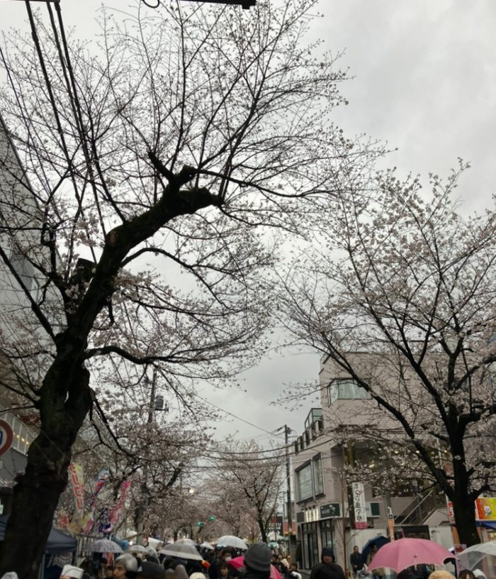 IMG_5573.jpeg