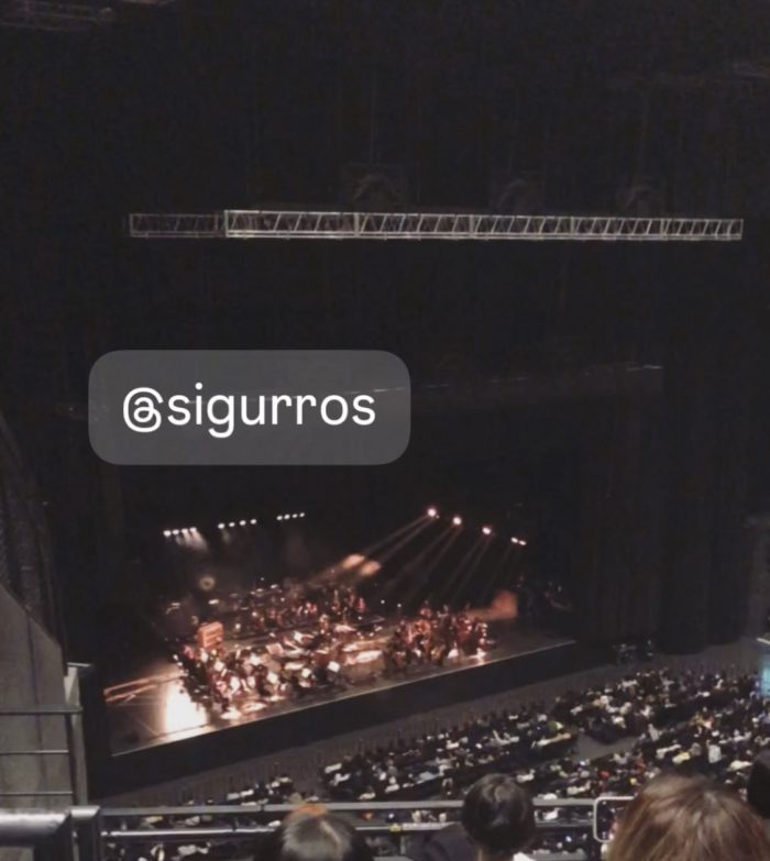 IMG_6916.jpeg