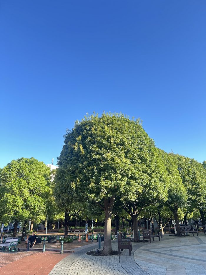IMG_7264.jpeg