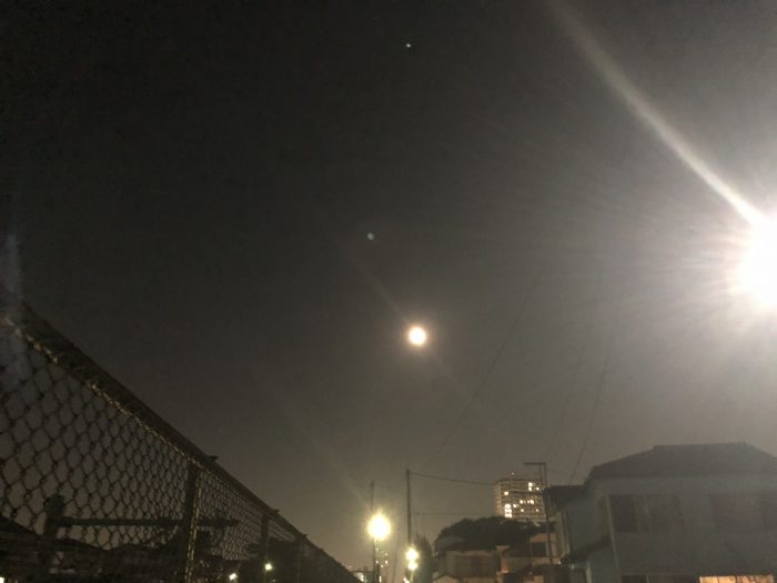 IMG_7585.jpeg