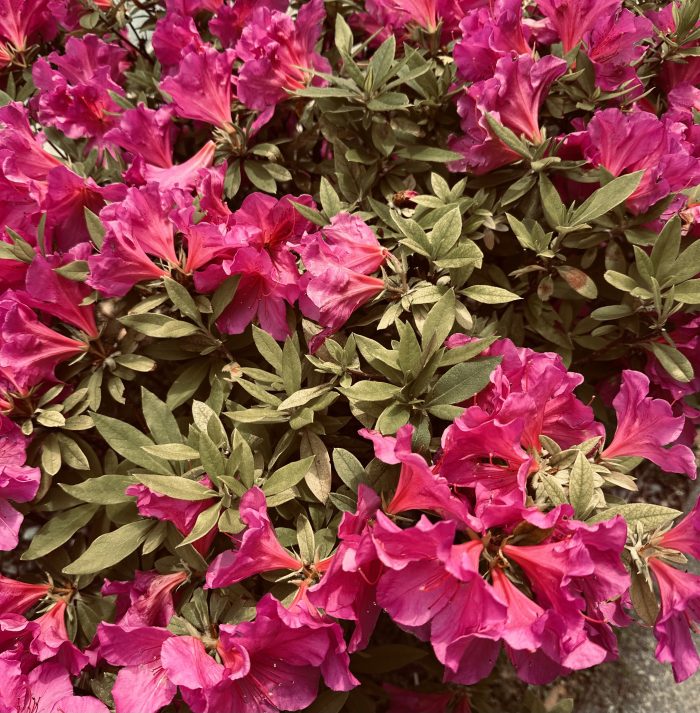 image0_364.jpeg