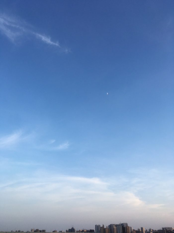 image1_47.JPG
